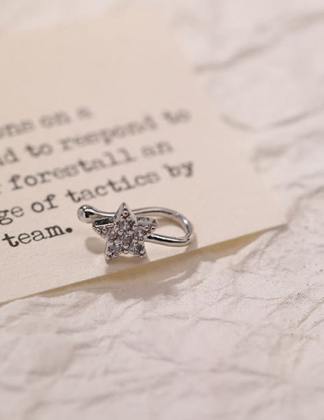 Пирсинг Z59348