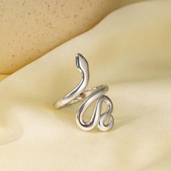 Стальное кольцо в виде лаконичной змеи в серебре CJH16066