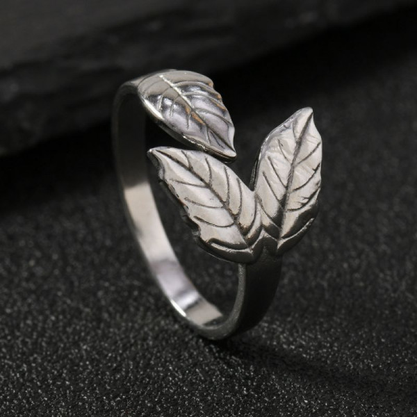 Кольцо сталь CJJ16925