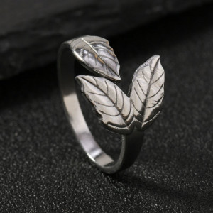 Кольцо сталь CJJ16923