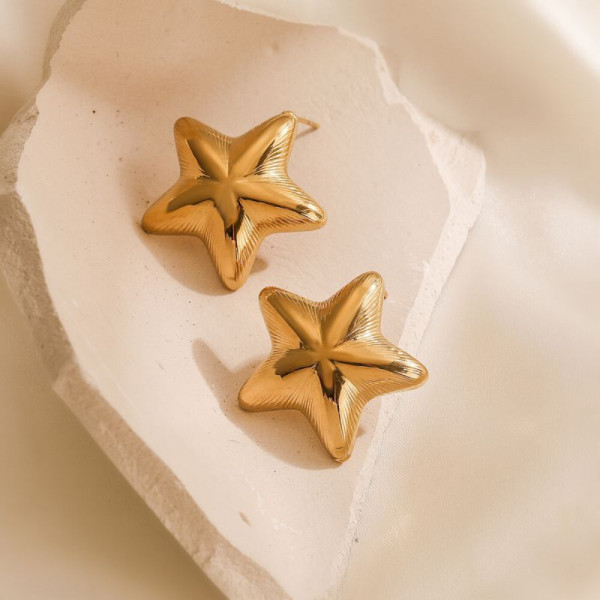 Серьги сталь CJH43479