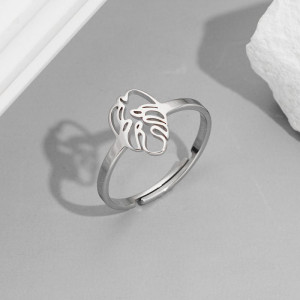 Кольцо сталь CJH62407