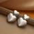 Ювелирные серьги CJB70161