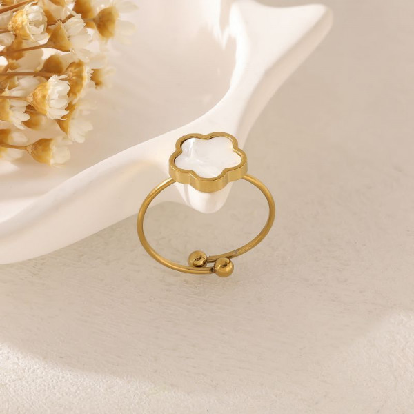 Кольцо сталь CJP45247