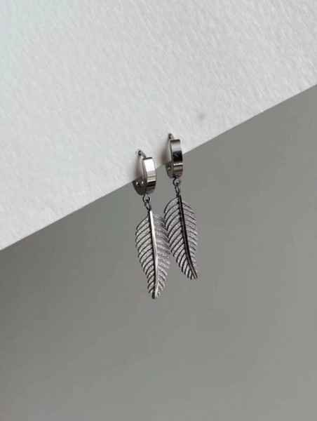 Серьги медицинская сталь J10870(CJJ)