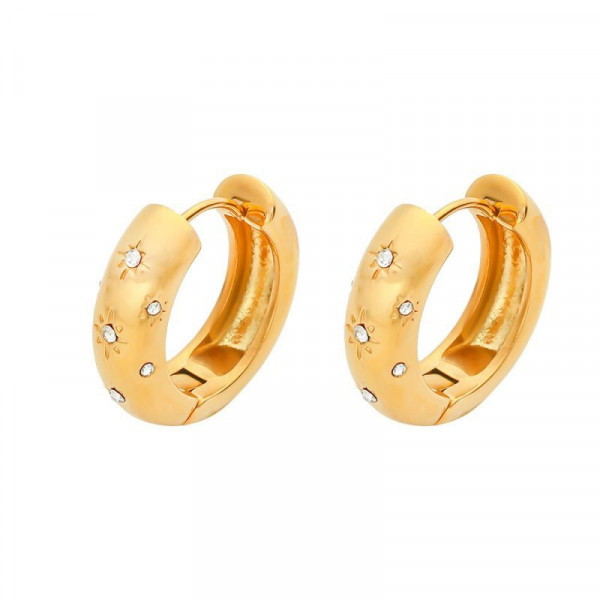 Серьги сталь CJL30339