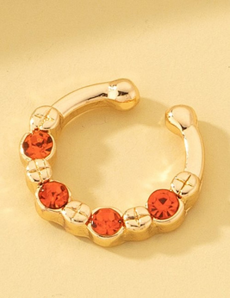 Пирсинг Z63394