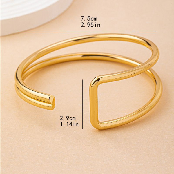 Жесткий браслет CJP54256