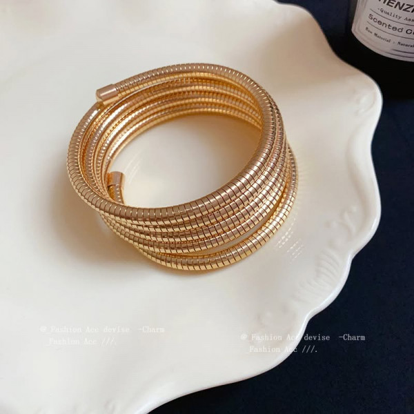 Браслет жесткий змея 1J11767CJJ