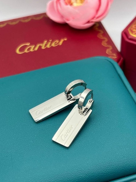 Серьги медицинская сталь J10894CJJ