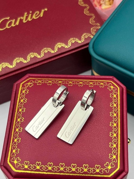 Стальные серьги-пластины в стиле минимализм 1J10894CJJ