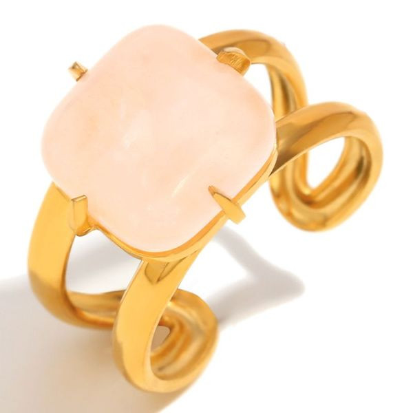 Кольцо сталь CJL49956