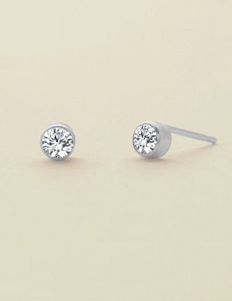Серьги сталь R79992
