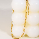 Браслет стальной с крупными овальными звеньями CJL32422