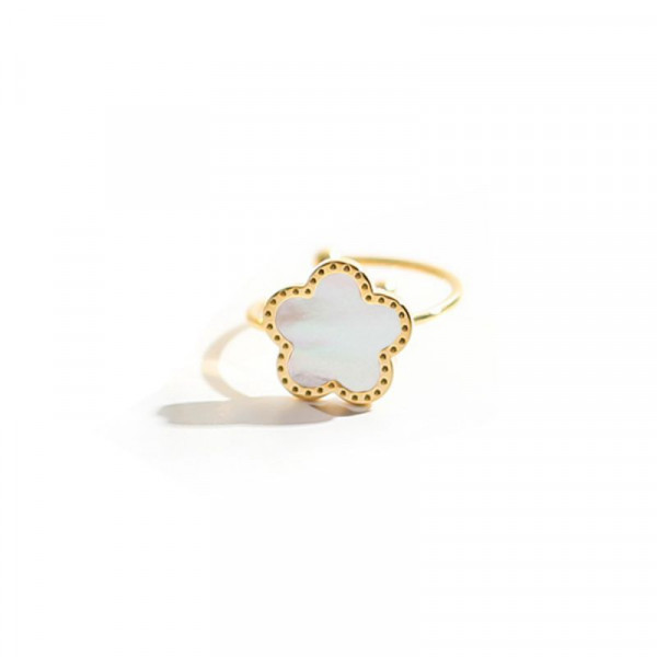 Кольцо сталь CJL22368