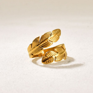 Кольцо сталь CJQ17667