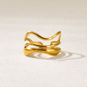 Кольцо сталь CJQ17668