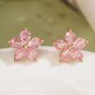 Ювелирные серьги CJL20484