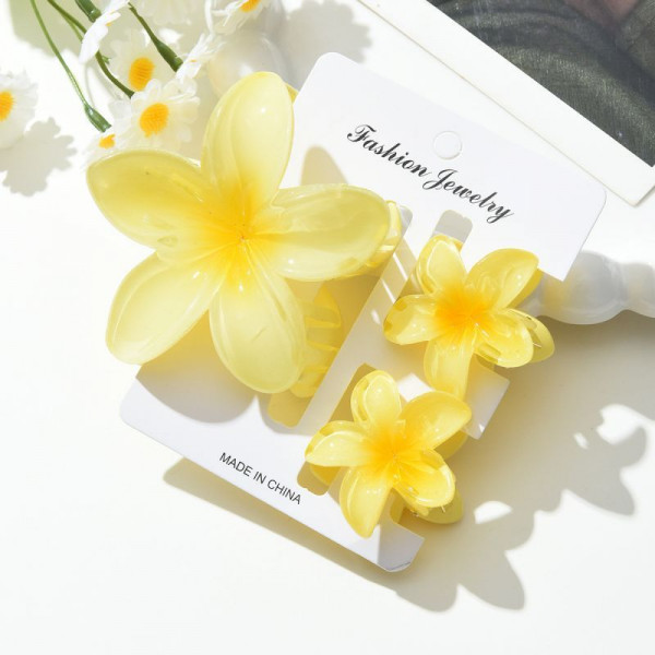 Краб для волос CJN72723