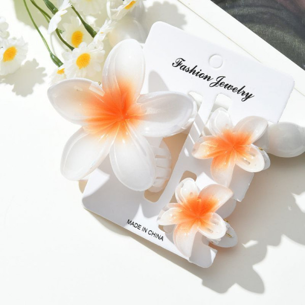 Краб для волос CJN72723