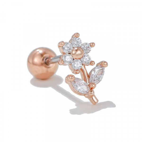 Пирсинг в уши N81736