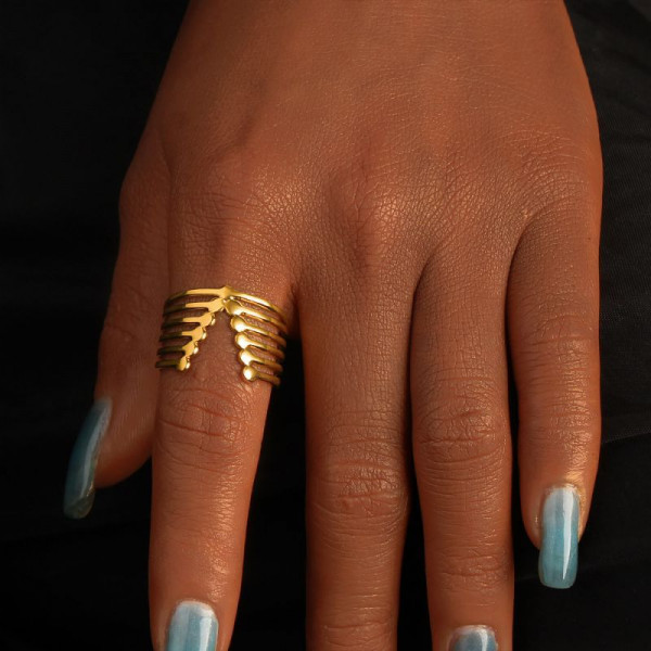 Кольцо сталь CJN82705