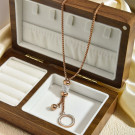 Колье из стали CJJ25175