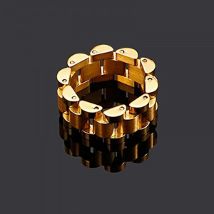 Кольцо сталь CJD93743