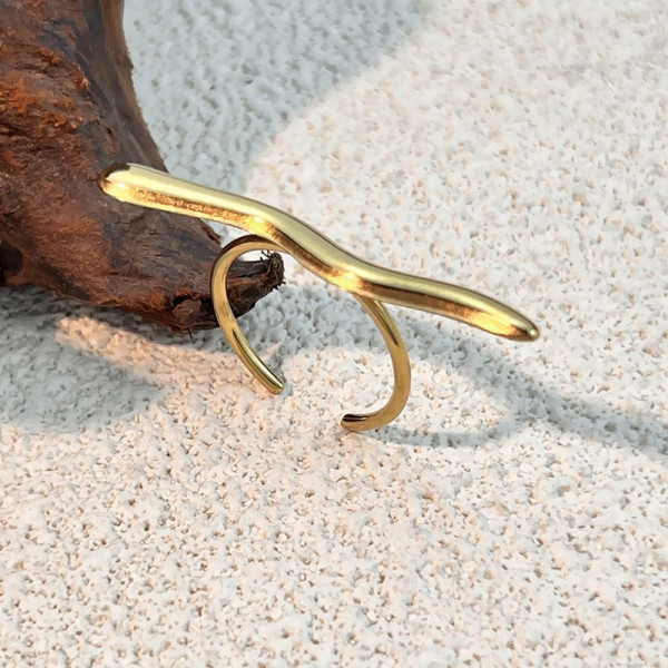 Кольцо сталь CJP52648