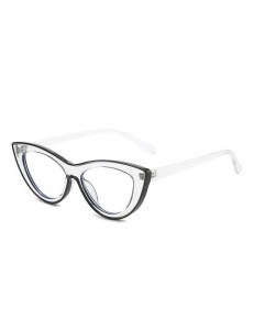 Очки Z31938