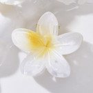 Краб для волос CJN72749