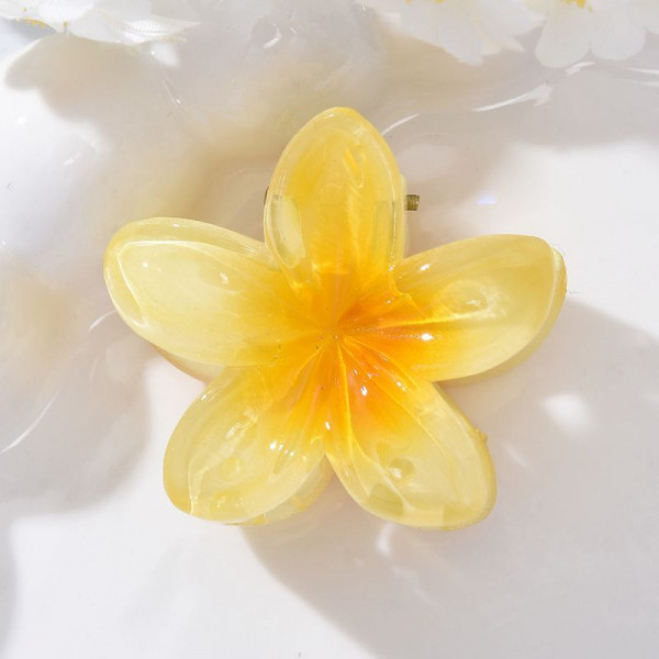 Краб для волос CJN72749