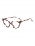 Очки Z11039