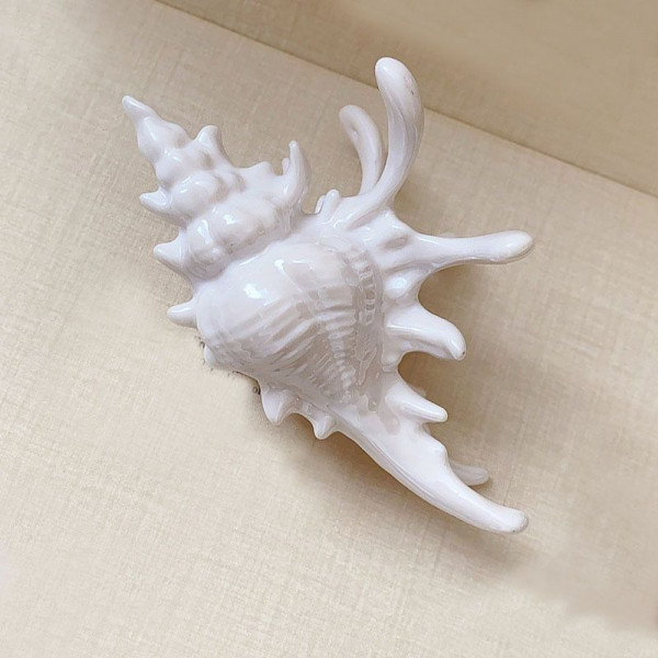 Краб для волос CJP45570