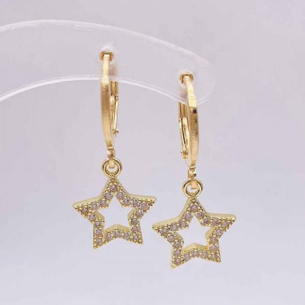 Ювелирные серьги CJD80010