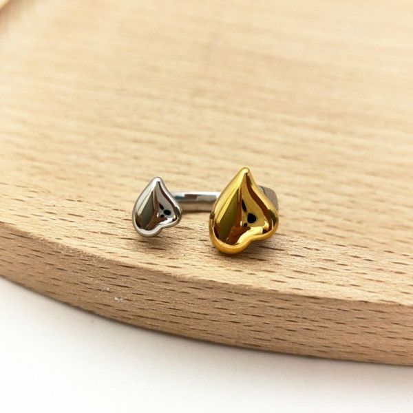 Кольцо сталь CJN45320