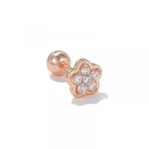 Пирсинг в уши CJE09347