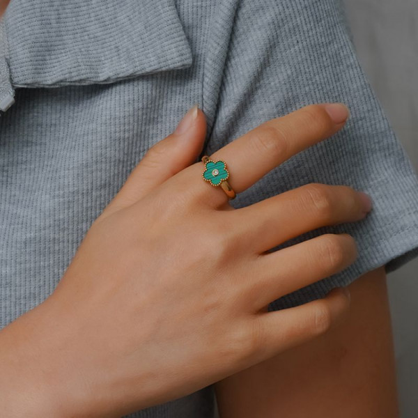 Кольцо сталь CJL23912