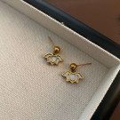 Серьги сталь CJG30612