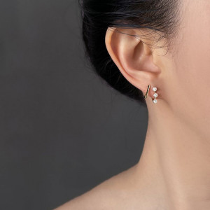 Ювелирные серьги CJT04229