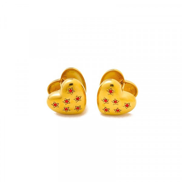 Серьги сталь CJD91804