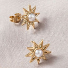 Серьги сталь CJL13563