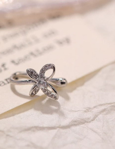 Пирсинг Z59356