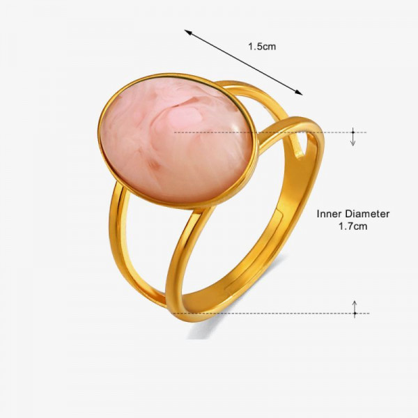 Кольцо сталь CJN27792