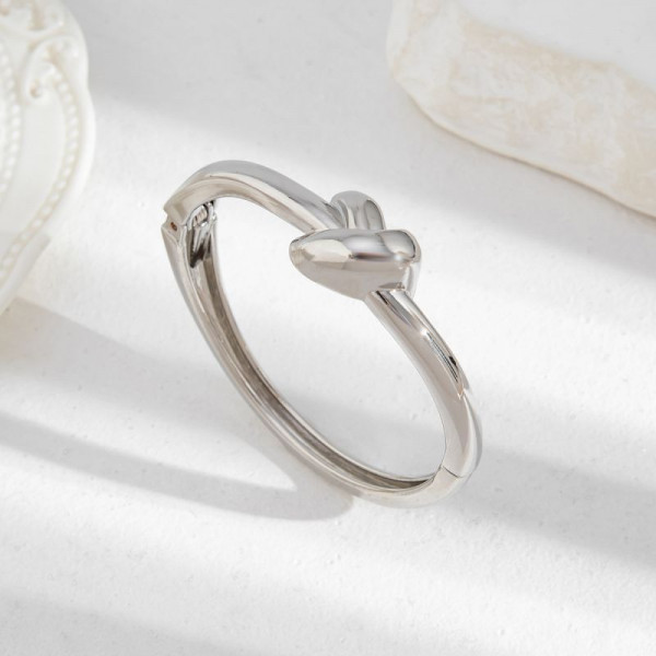 Жесткий браслет CJL85642