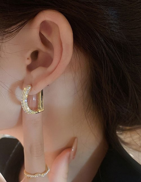 Ювелирные серьги Z27284