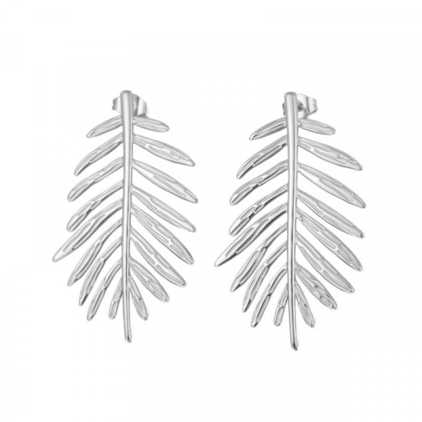 Серьги сталь CJR56343