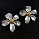 Серьги-гвоздики CJL19382