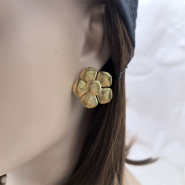 Серьги сталь CJL79249