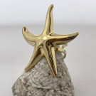 Кольцо сталь CJL35762